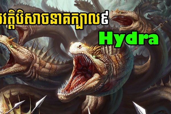 Kraken вход kraken torion