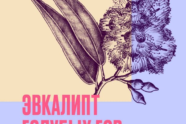 Как восстановить кракен