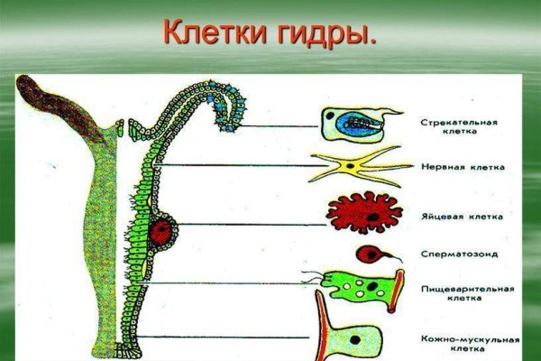 Нарко маркетплейсы